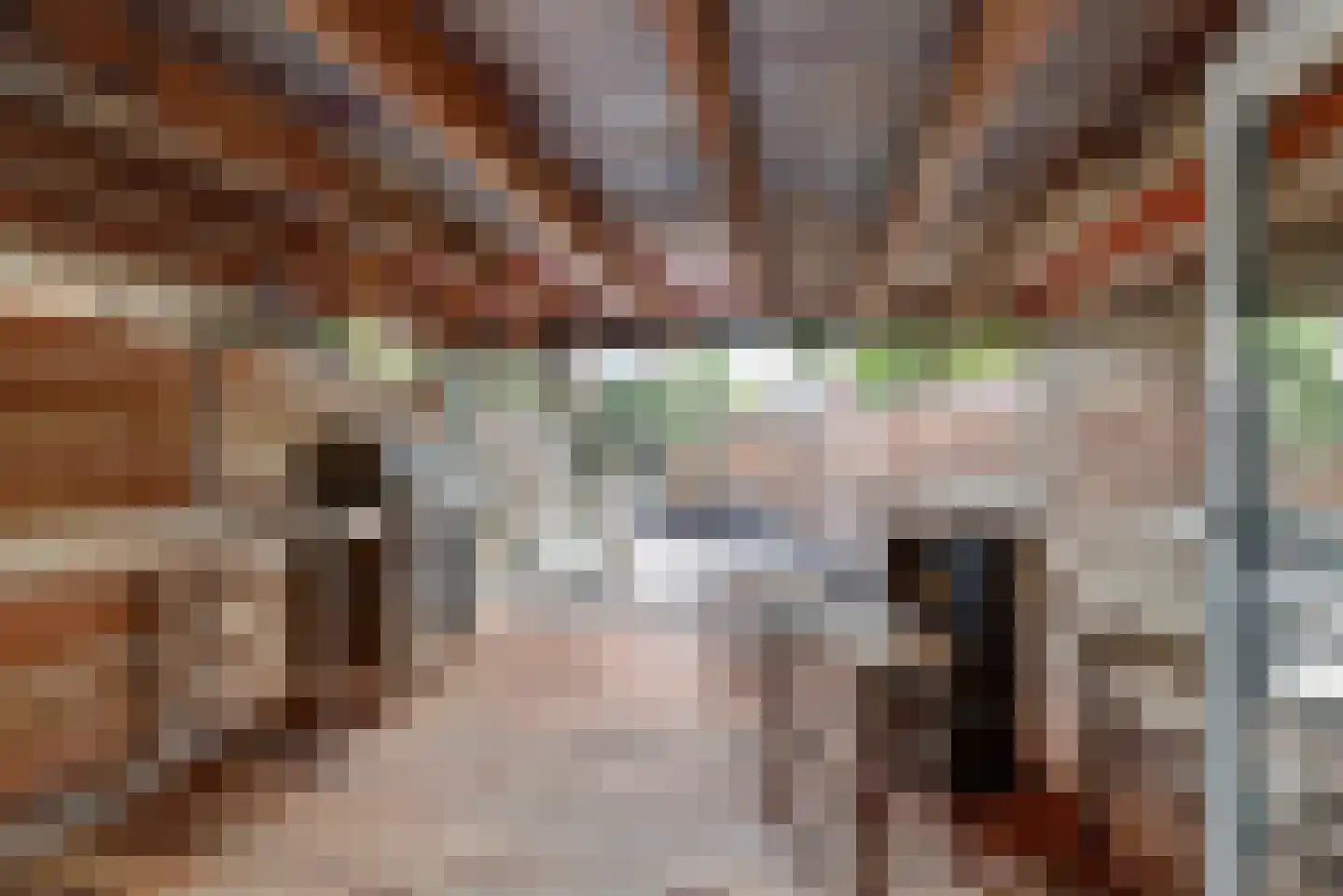 Onder de Boompjes 149 Gouda thumbnail 36