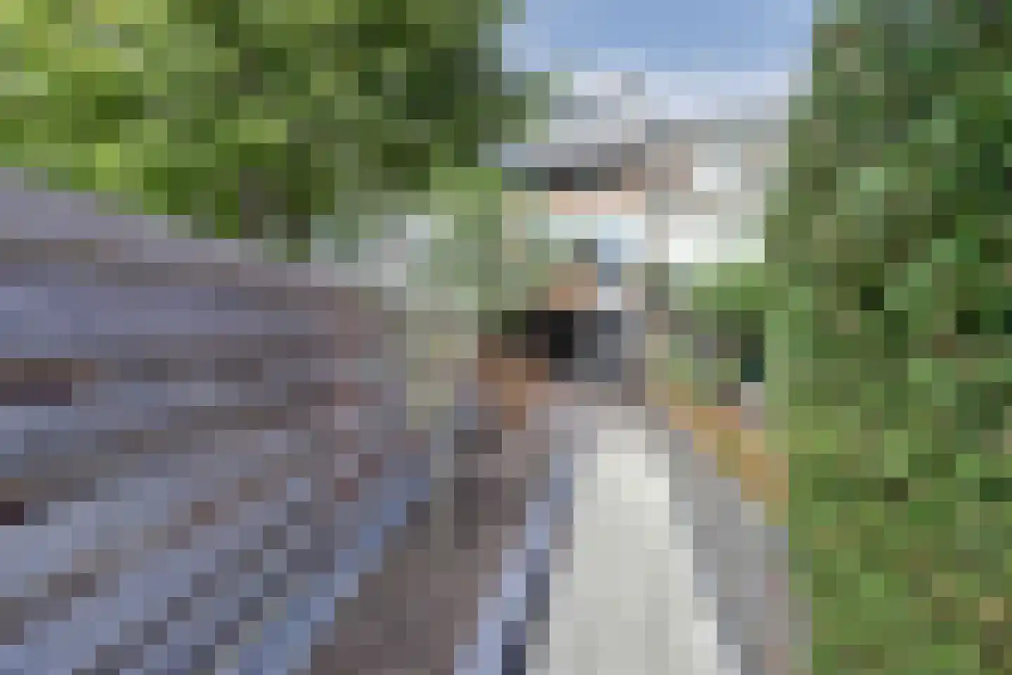 Onder de Boompjes 149 Gouda thumbnail 41