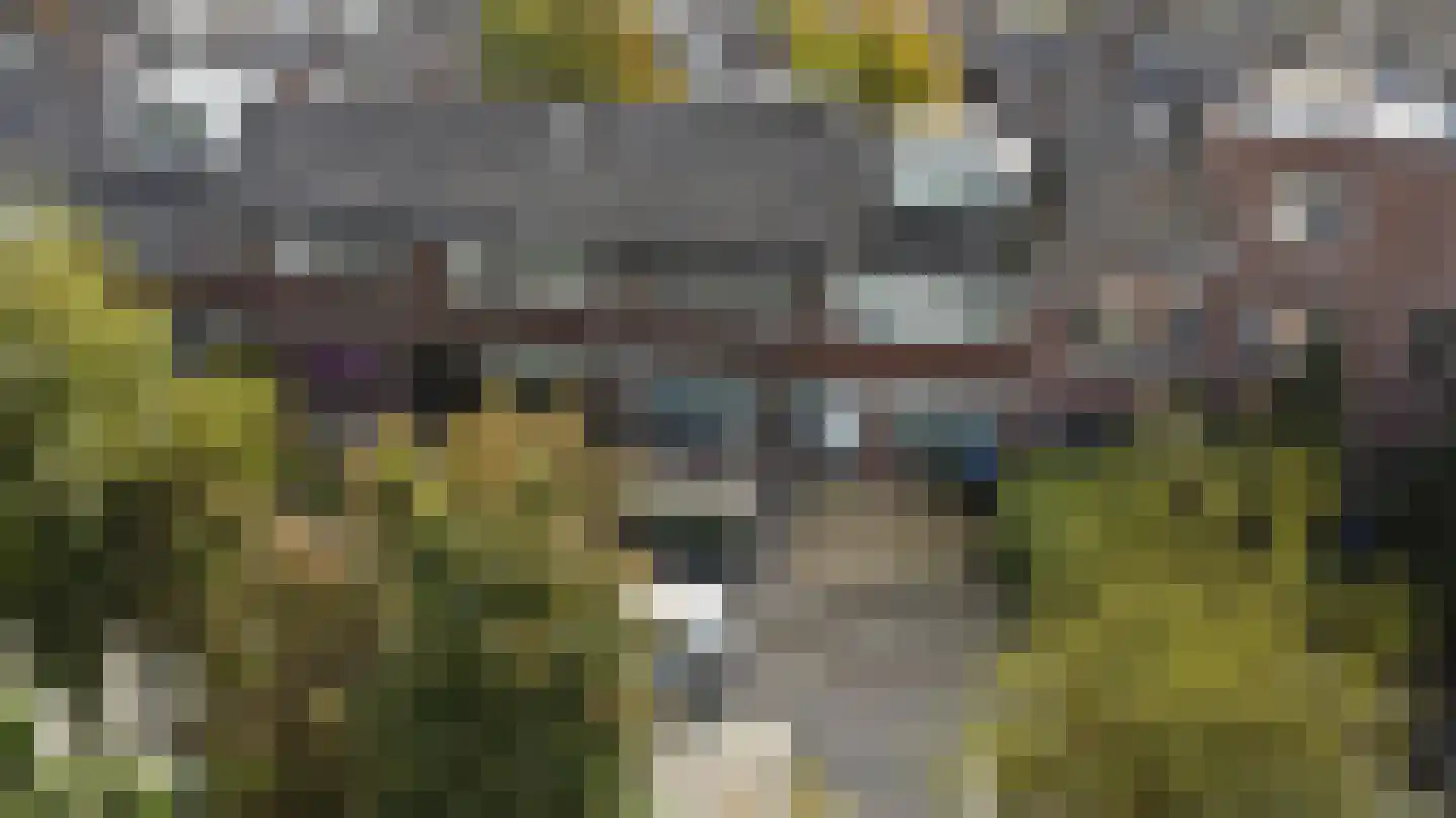 Onder de Boompjes 149 Gouda thumbnail 47