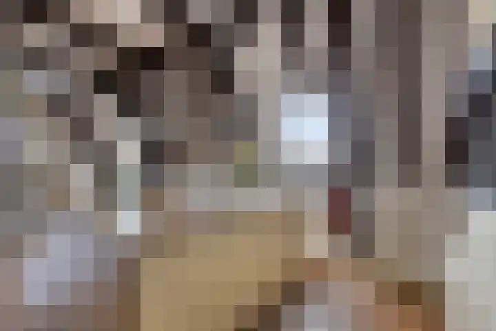 Onder de Boompjes 20 D Hoorn thumbnail 10