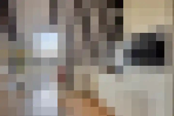 Onder de Boompjes 20 D Hoorn thumbnail 11