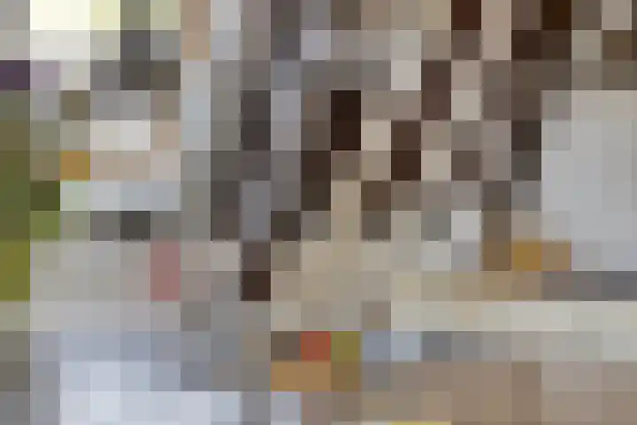 Onder de Boompjes 20 D Hoorn thumbnail 12