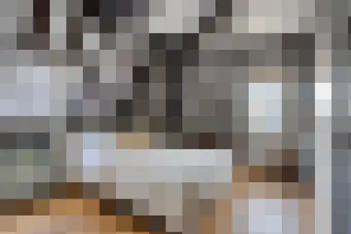 Onder de Boompjes 20 D Hoorn thumbnail 13