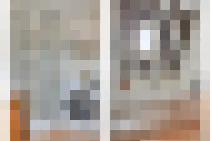 Onder de Boompjes 20 D Hoorn thumbnail 17
