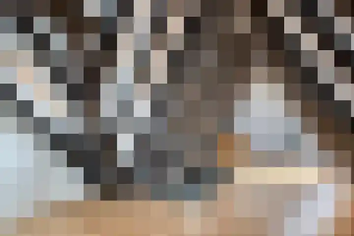 Onder de Boompjes 20 D Hoorn thumbnail 18