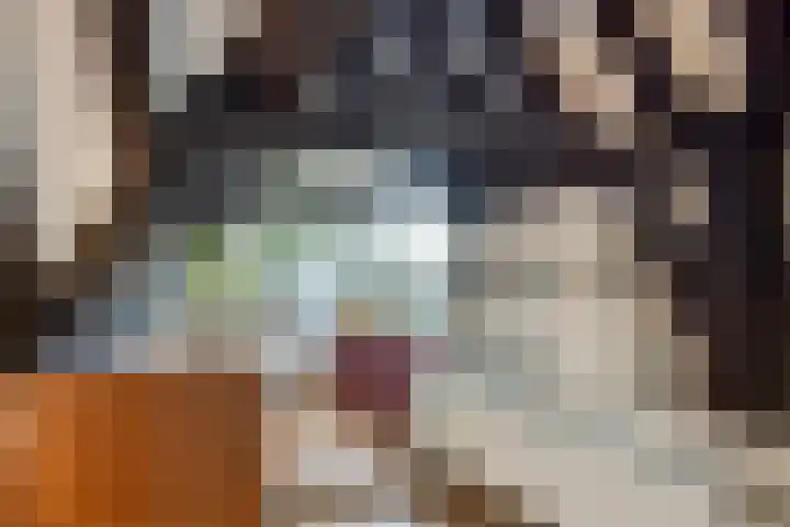 Onder de Boompjes 20 D Hoorn thumbnail 20