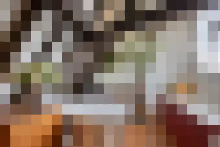 Onder de Boompjes 20 D Hoorn thumbnail 21