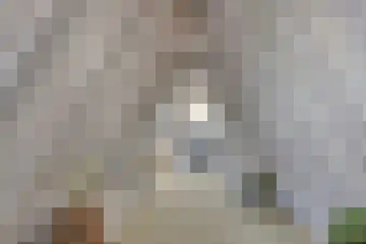 Onder de Boompjes 20 D Hoorn thumbnail 22