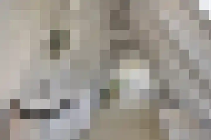 Onder de Boompjes 20 D Hoorn thumbnail 23