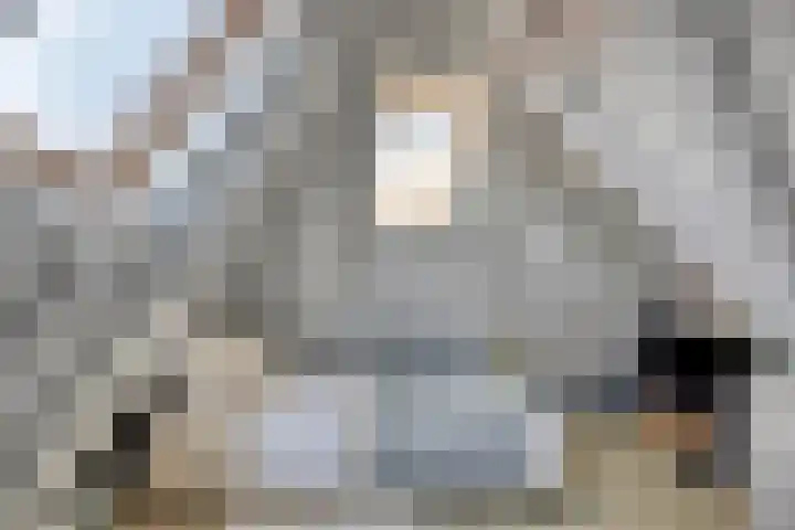 Onder de Boompjes 20 D Hoorn thumbnail 24