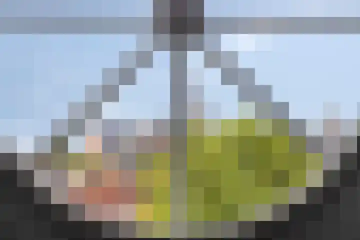 Onder de Boompjes 20 D Hoorn thumbnail 25
