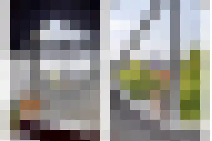 Onder de Boompjes 20 D Hoorn thumbnail 26