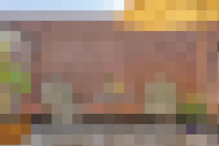 Onder de Boompjes 20 D Hoorn thumbnail 27