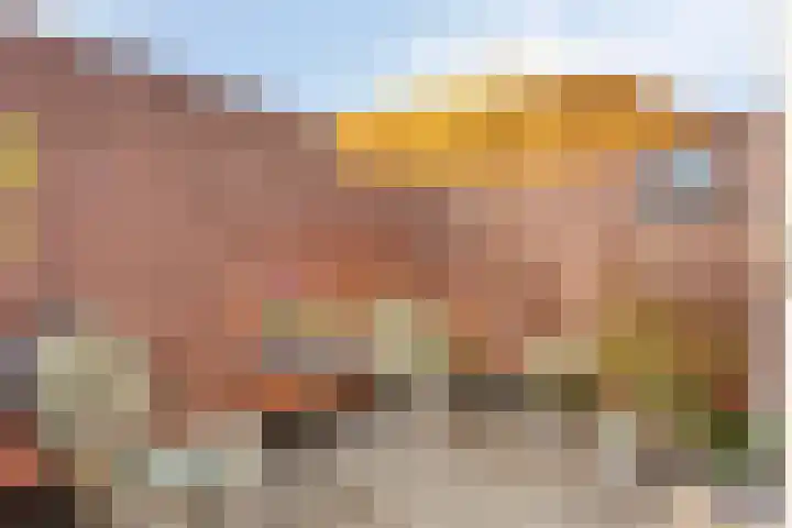 Onder de Boompjes 20 D Hoorn thumbnail 28