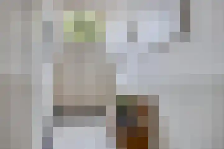 Onder de Boompjes 20 D Hoorn thumbnail 30