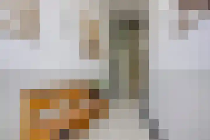Onder de Boompjes 20 D Hoorn thumbnail 31