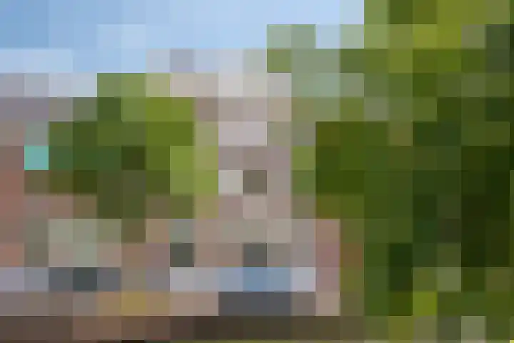 Onder de Boompjes 20 D Hoorn thumbnail 35