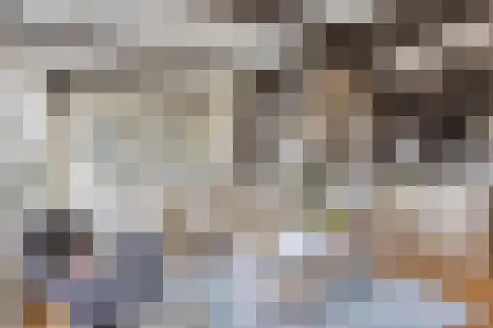 Onder de Boompjes 20 D Hoorn thumbnail 4