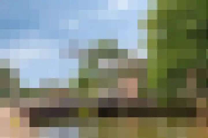 Onder de Boompjes 20 D Hoorn thumbnail 43