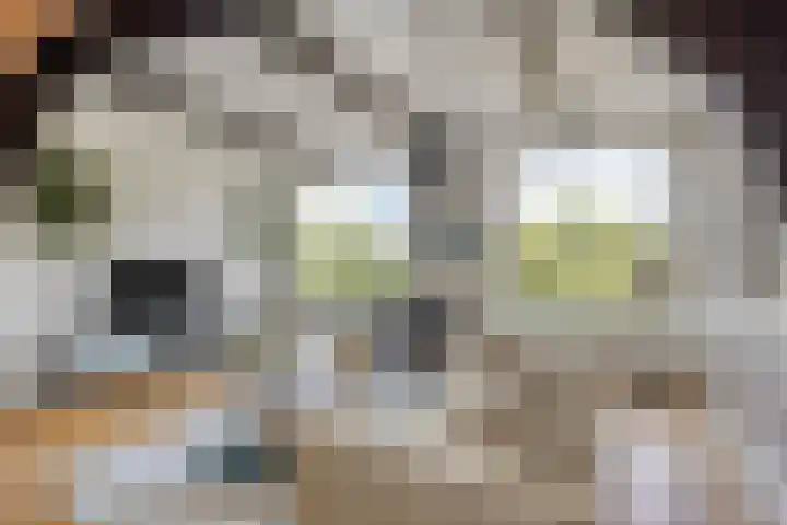 Onder de Boompjes 20 D Hoorn thumbnail 5