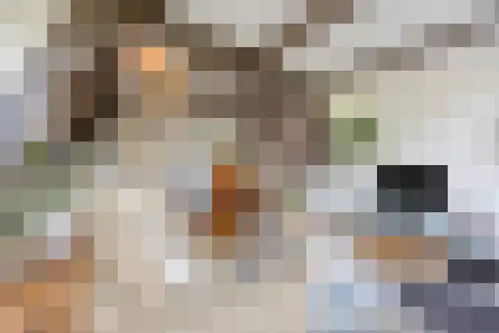 Onder de Boompjes 20 D Hoorn thumbnail 6
