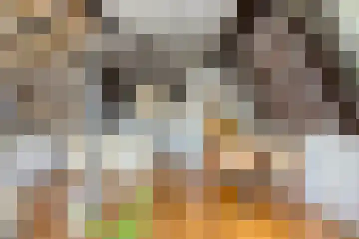 Onder de Boompjes 20 D Hoorn thumbnail 7
