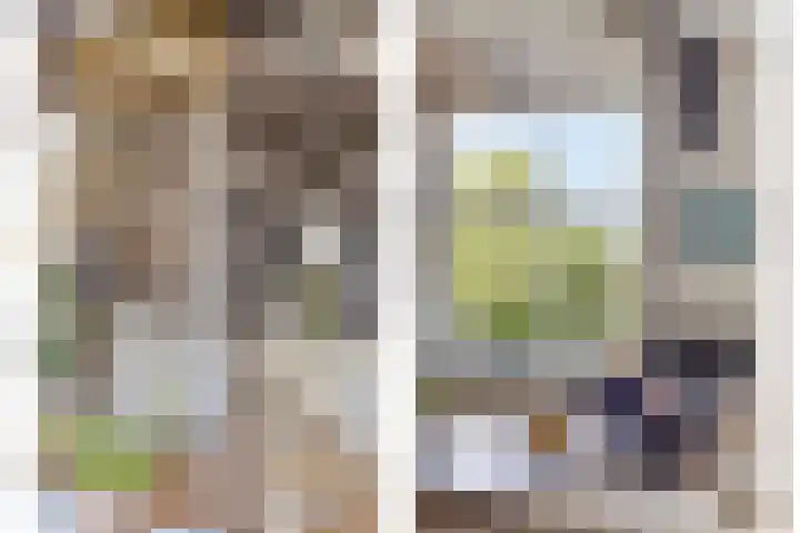Onder de Boompjes 20 D Hoorn thumbnail 8