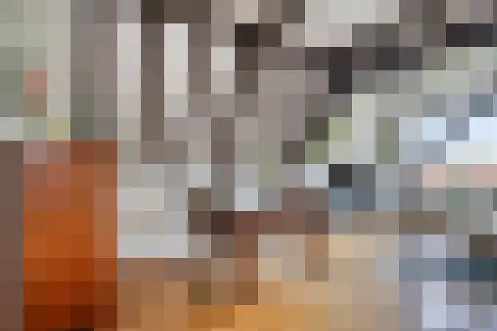 Onder de Boompjes 20 D Hoorn thumbnail 9
