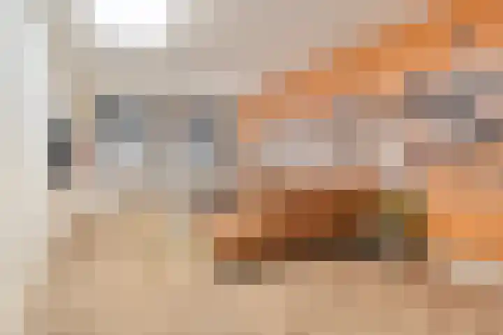 Onder de Boompjes 31 A Montfoort thumbnail 13