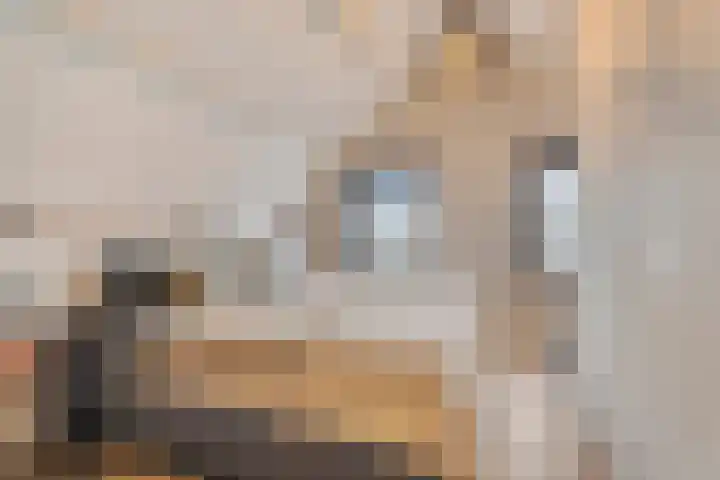 Onder de Boompjes 31 A Montfoort thumbnail 16