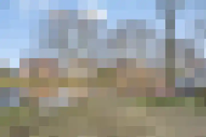 Onder de Boompjes 31 A Montfoort thumbnail 31