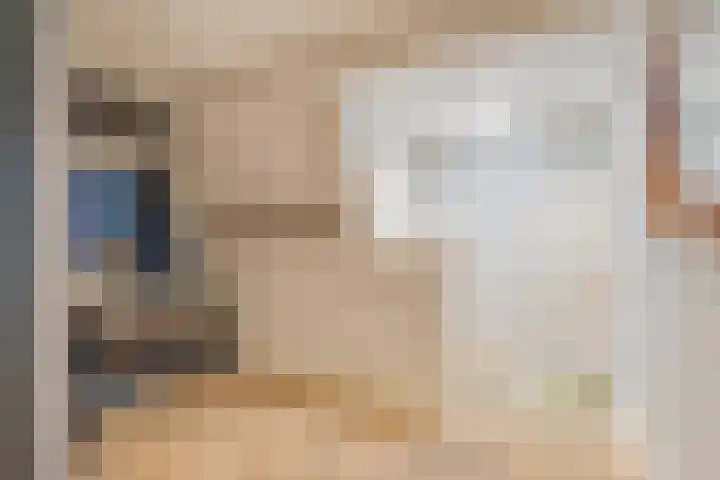 Onder de Boompjes 31 A Montfoort thumbnail 5