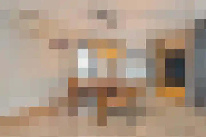 Onder de Boompjes 31 A Montfoort thumbnail 8
