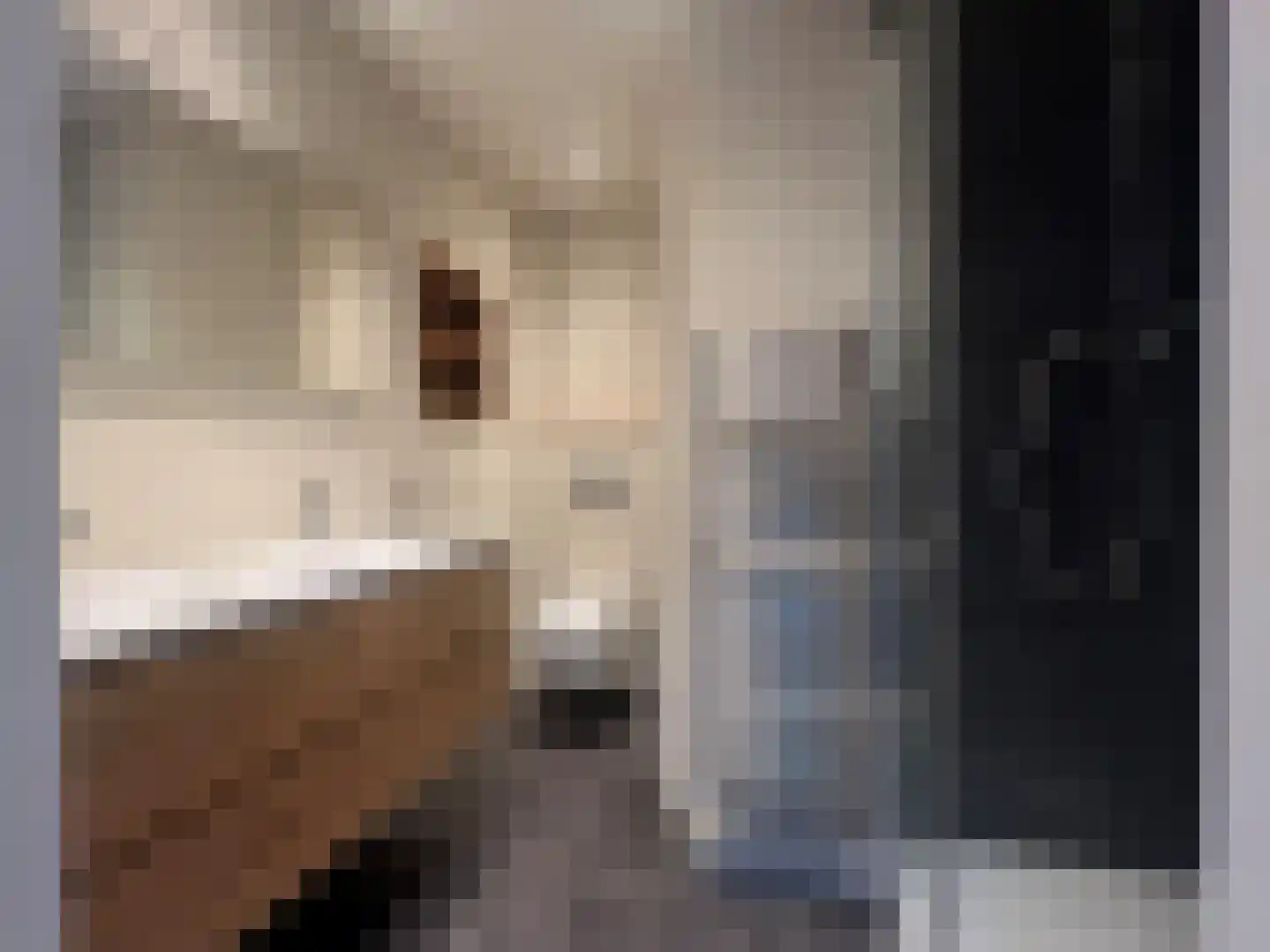 Onder de Boompjes 9 a Montfoort thumbnail 14