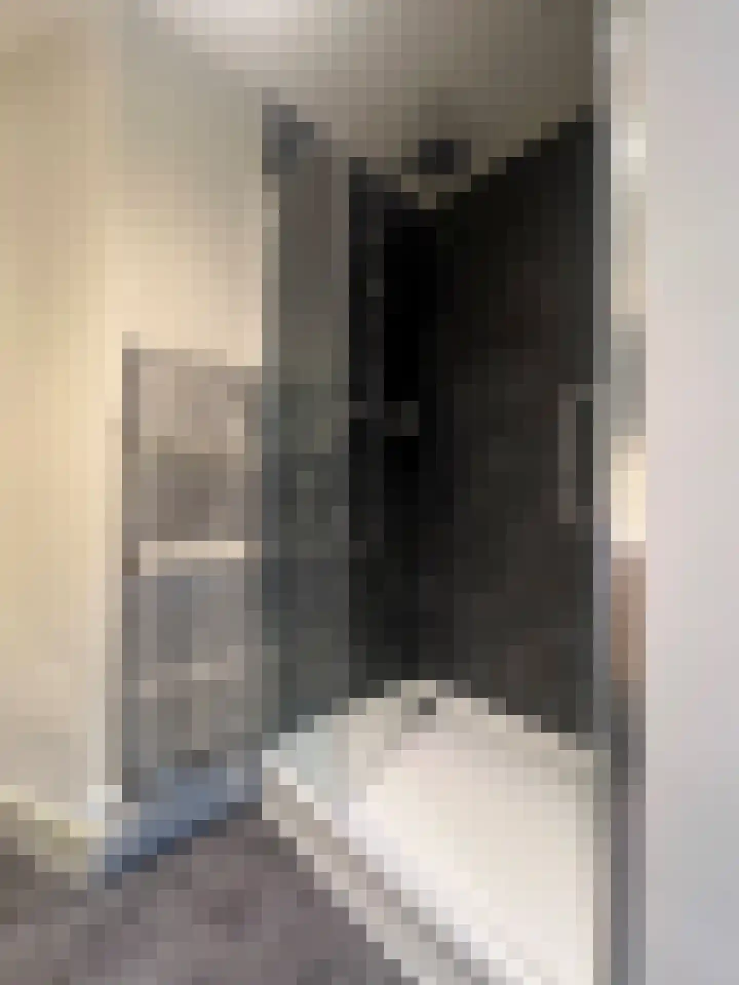 Onder de Boompjes 9 a Montfoort thumbnail 15