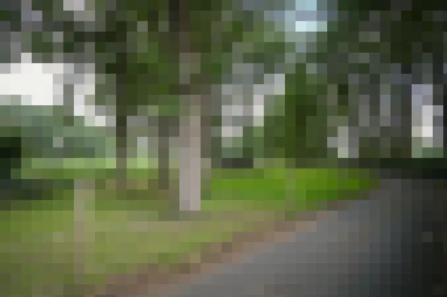Onder de Bos 103 Hulshorst thumbnail 62