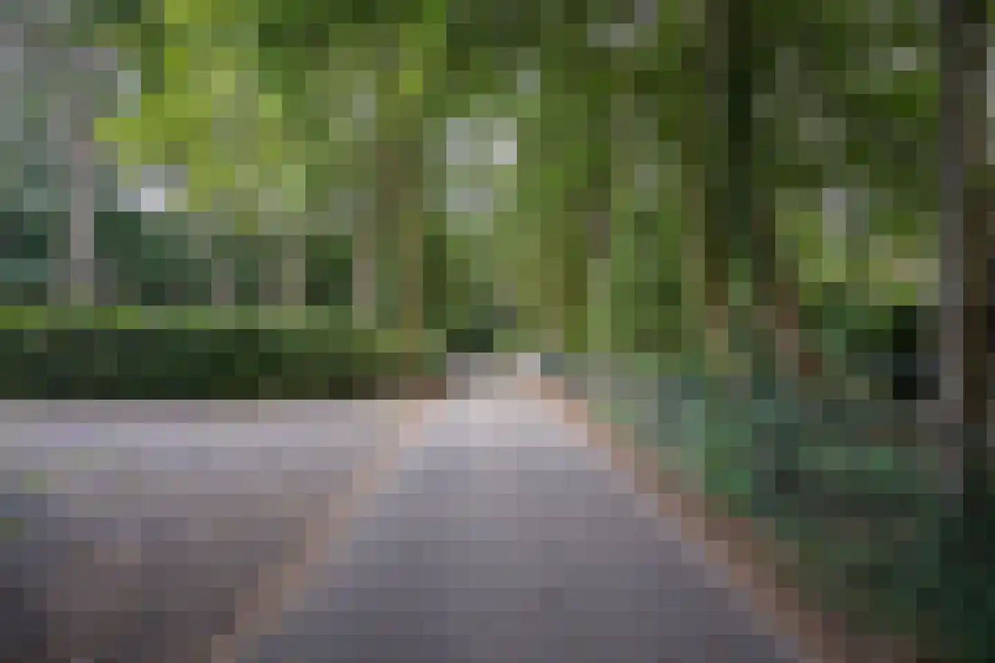 Onder de Bos 103 Hulshorst thumbnail 63