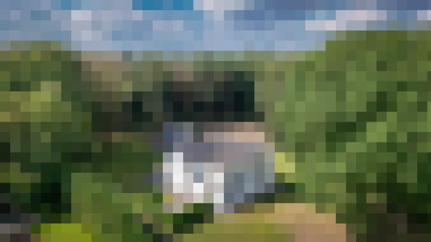 Onder de Bos 103 Hulshorst thumbnail 66