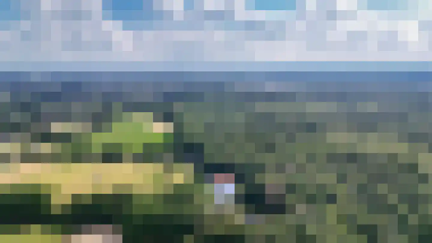 Onder de Bos 103 Hulshorst thumbnail 68