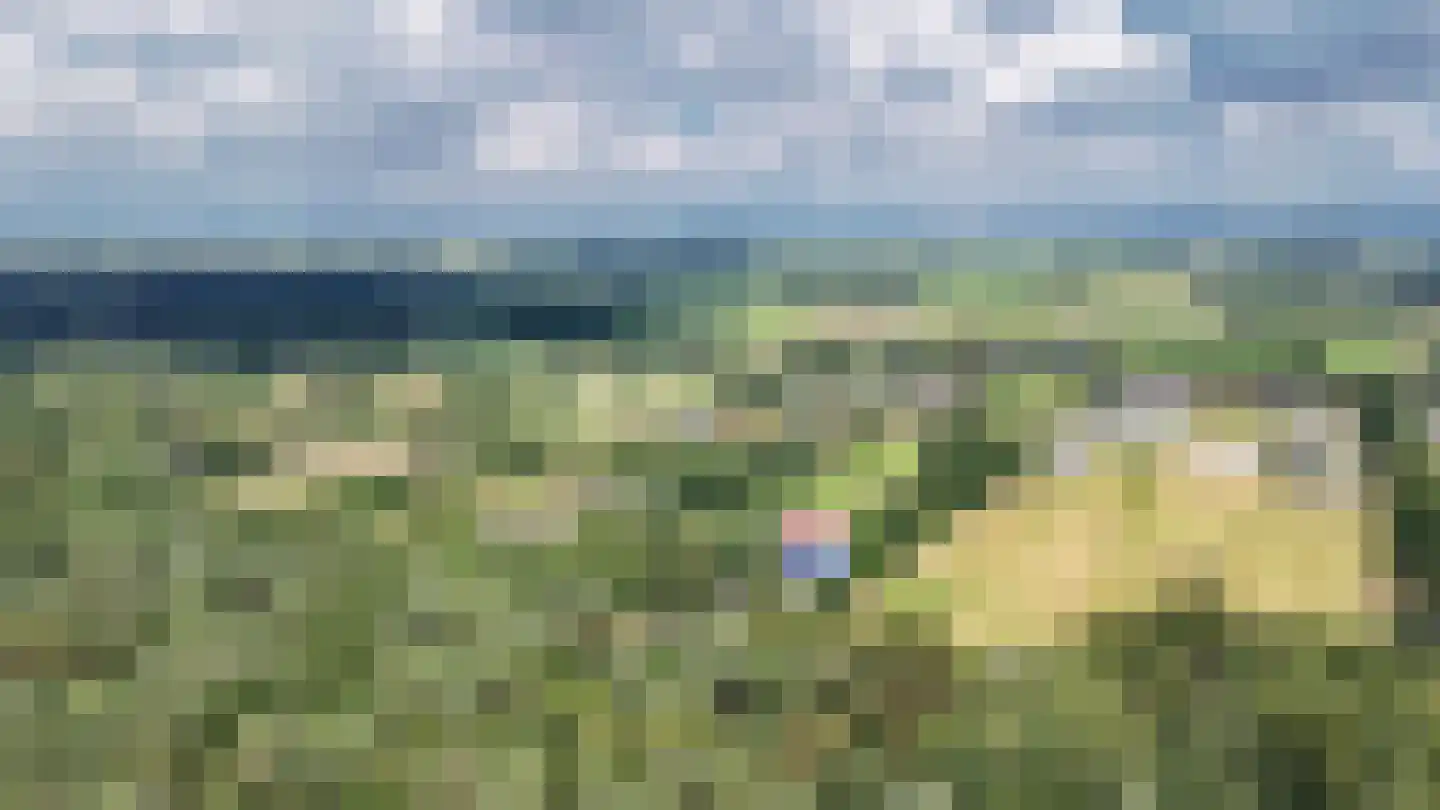 Onder de Bos 103 Hulshorst thumbnail 69