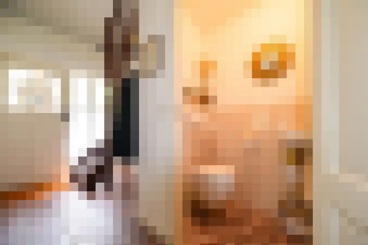 Onder de Bos 116 Hulshorst thumbnail 17