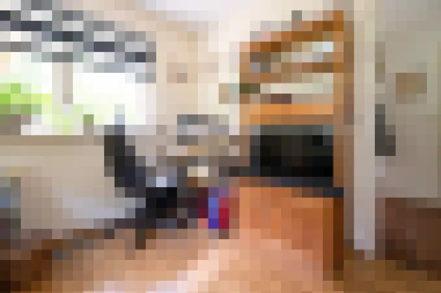 Onder de Bos 116 Hulshorst thumbnail 20