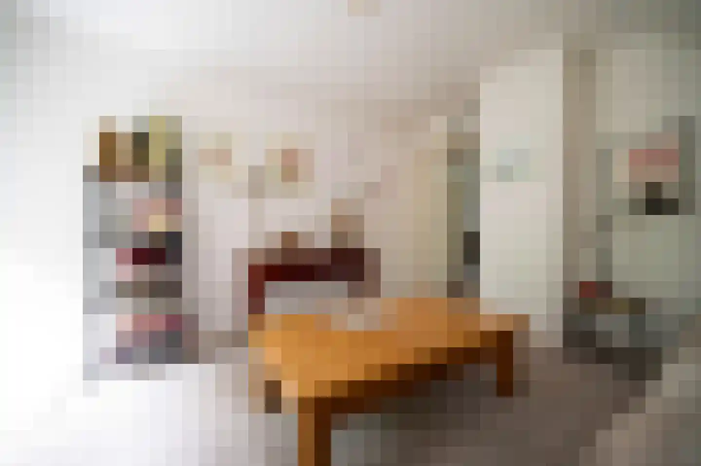 Onder de Bos 116 Hulshorst thumbnail 28