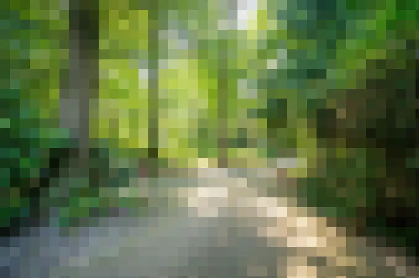 Onder de Bos 116 Hulshorst thumbnail 31