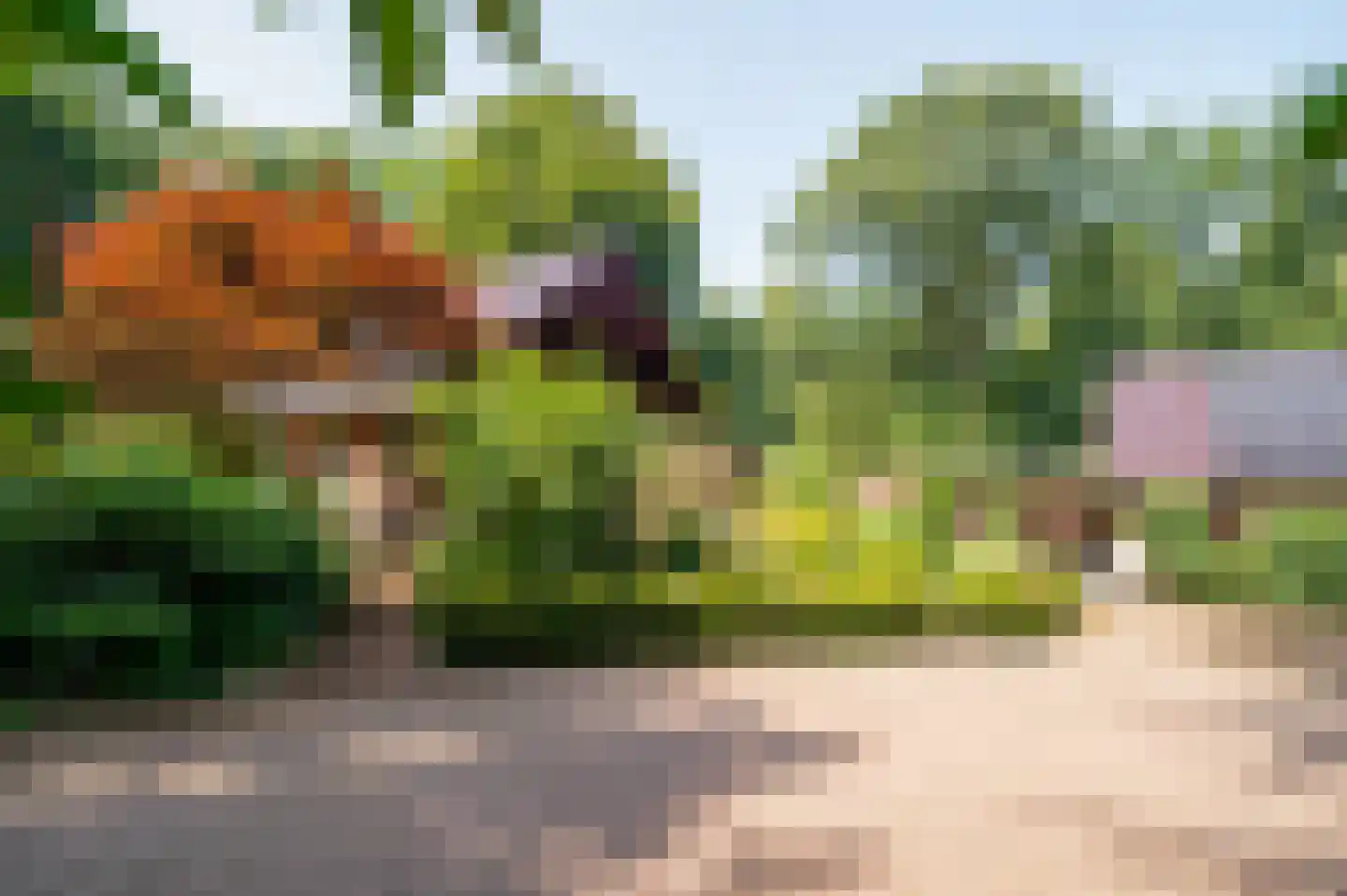 Onder de Bos 116 Hulshorst thumbnail 32