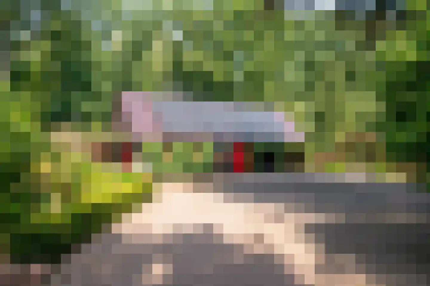 Onder de Bos 116 Hulshorst thumbnail 34