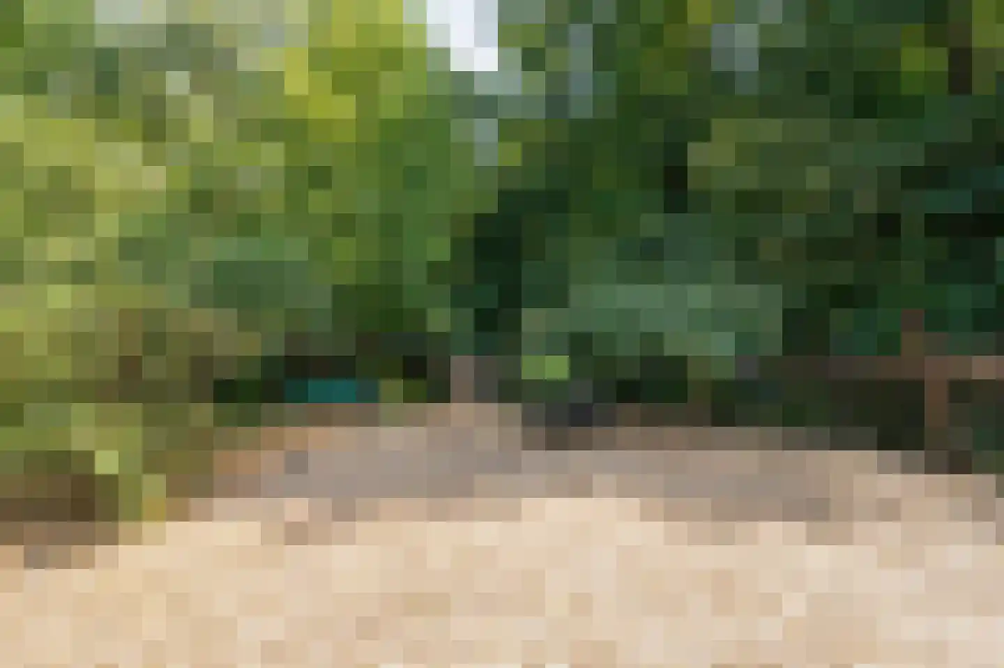 Onder de Bos 116 Hulshorst thumbnail 35