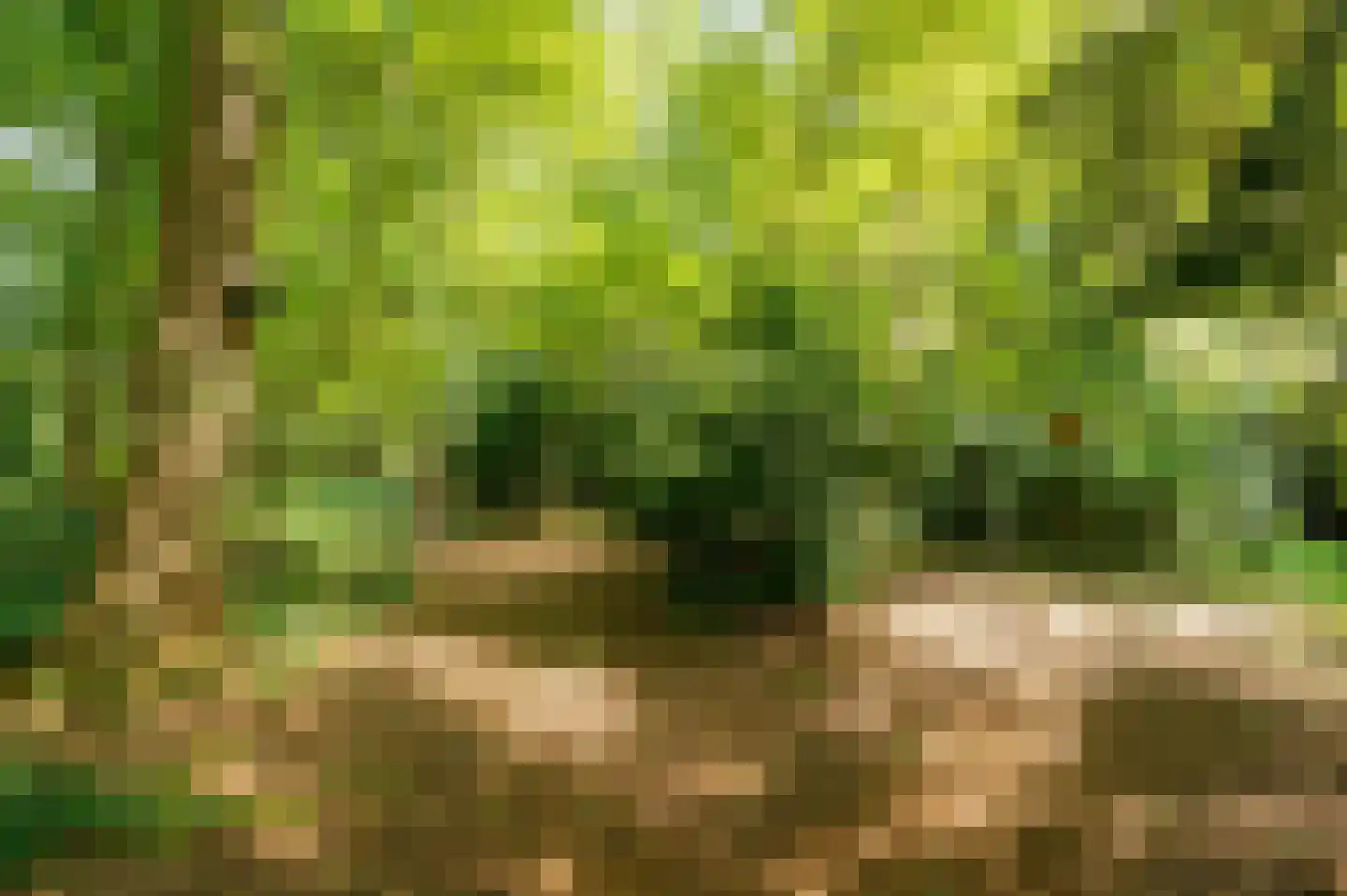 Onder de Bos 116 Hulshorst thumbnail 38
