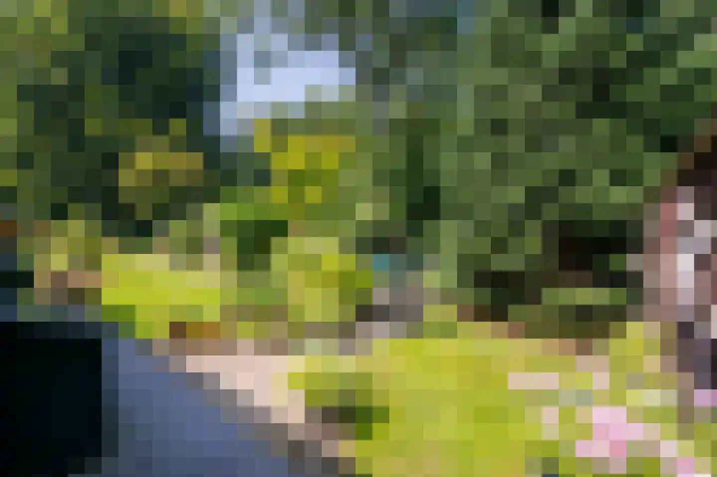 Onder de Bos 116 Hulshorst thumbnail 39
