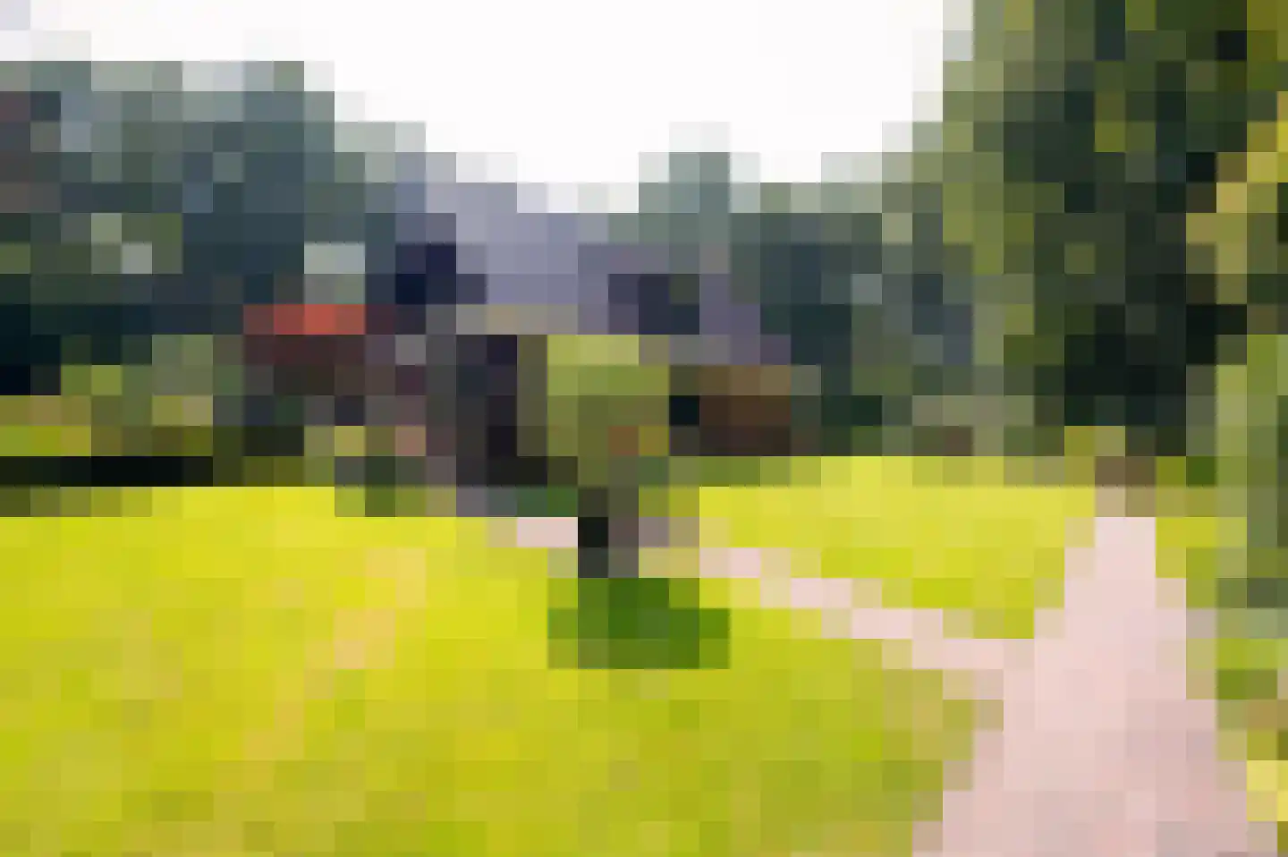 Onder de Bos 116 Hulshorst thumbnail 4